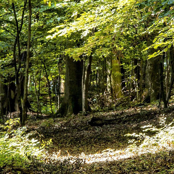 New tourism infrastructure in protected NATURE areas (GO IN NATURE)
